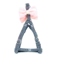 Satin Oyster Harness and Lead Set