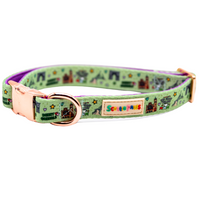 Derry GRRRL Padded Dog Collar