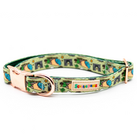 North Coast Padded Dog Collar