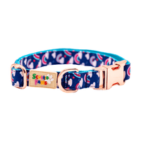 Rainbow Surprise Dog Collar