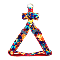 Delightfully Different StepIn2 Dog Harness