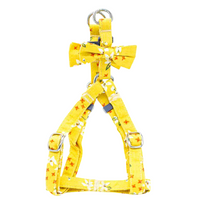 Daisy Delights Harness and Lead Set