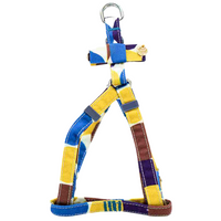 Evening Shades Harness and Lead Set