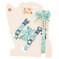 All Things Pretty in Blue Harness and Lead Set