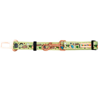 North Coast Seat Belt