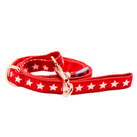 Star Bright Dog Lead