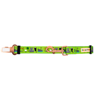All Ireland Dog Seat Belt