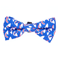 Rainbow Surprise Dog Bow