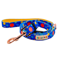 Into Space Adjustable Dog Lead