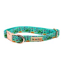 PRE-HISTORIC Adjustable Padded Dog Collar