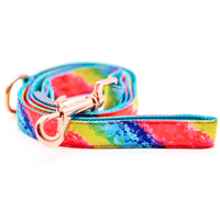 Colourtastic Dog Lead