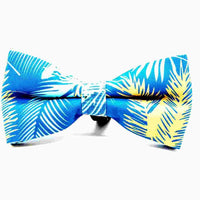 Morning Feathers Dog Bow