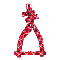 Sweet Delight Harness and Lead Set