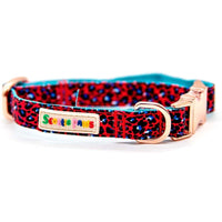 Flame Red Dog Collar