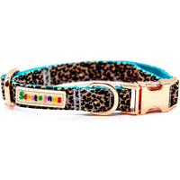 Soft  Nude Dog Collar
