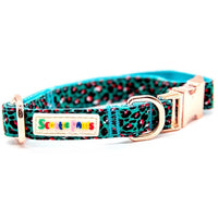 Tasty Teal Dog Collar