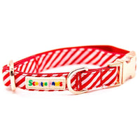 Candy Cane Lane Dog Collar