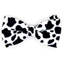 MOOOOOOOOOver Dog Bow