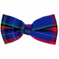 Sea Blue Dog Bow