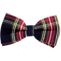 Black Mystery Dog Bow