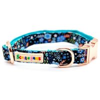 The Winter Blues Dog Collar