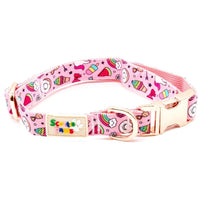 Fun at Heart Dog Collar