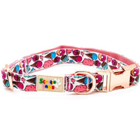 Doughnut Delight Dog Collar