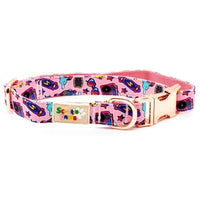 Summer Vibes Dog Collar