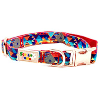 Delightfully Different Dog Collar