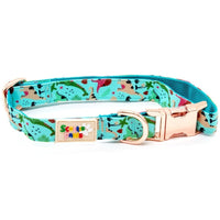 Dinosaur Day Dog Collar
