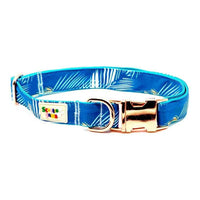 Morning Feathers Dog Collar
